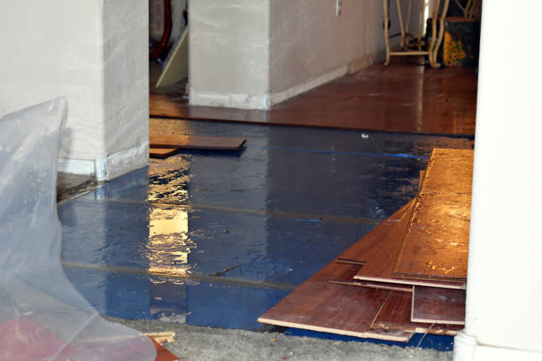 Professional Basement Flood Cleanup technician working in Cedar Grove, NC